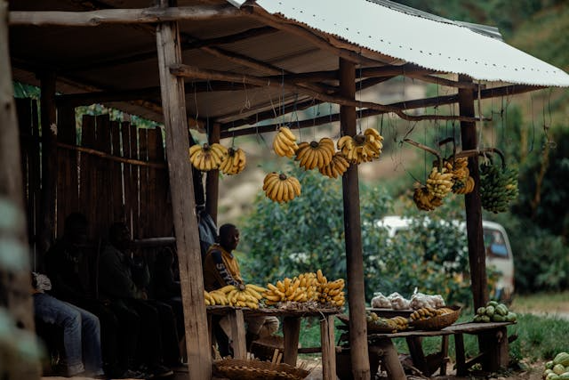 Acceso al Mercado para Pequeños Agricultores: Cómo AgriGuildDAO Permite la Coordinación de Agricultores con Compradores Globales